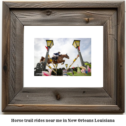 horse trail rides near me in New Orleans, Louisiana